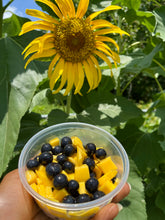 Load image into Gallery viewer, Blue Mango Blast