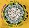 Vitamin Sea Moss Gel