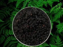 Load image into Gallery viewer, Elderberry
